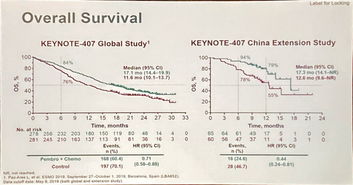 耐旱草种大揭秘：如何降低旱地种草死苗率70%嗯？
