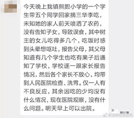 律法责任：偷果子也要讲究规矩