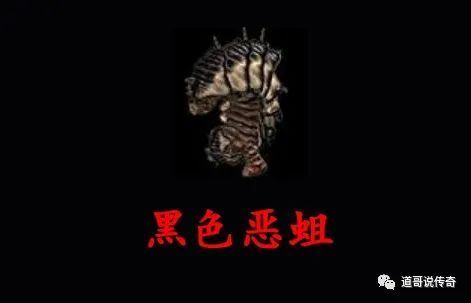 黑色玫瑰：神秘传说，暗香浮动，花语揭秘！