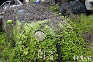 避免接触到皮肤和吸入药剂