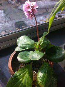 物理手段：简单易行的选择