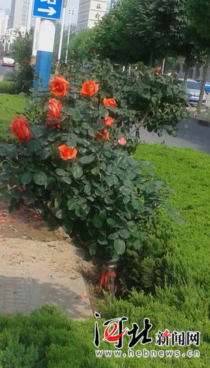 城市管理，追求卓越