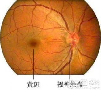 怎么用，注意啥？