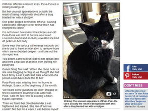 紧急救治：速速行动