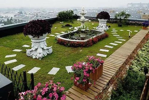 屋顶绿化的意义与原则