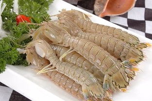 皮皮虾繁殖高峰期集中在5月至7月