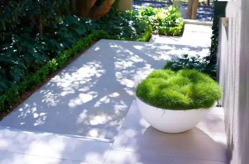 庭院除草，如何节省60%维护费呃？