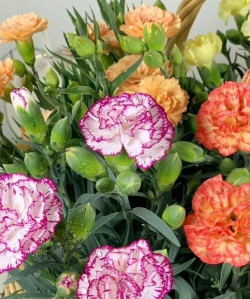 Summer Heat的介绍