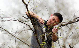 九不要：轻视剪后处理