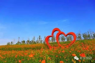 凯光植物园，月季花的海洋