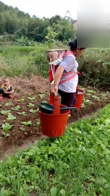 除草剂拌种后地里打除草剂需要隔几天才能栽种油菜？