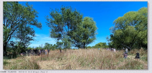 雪松的兄弟姐妹们