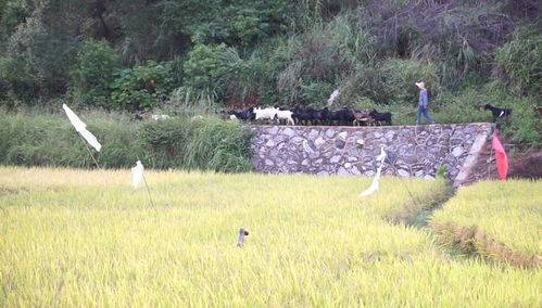 常见错误要避免