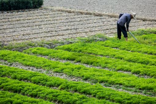 经济效益， 不嫩忽视