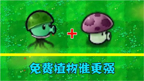 喷农药， 注意言辞，别伤人心