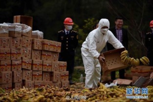 农药的使用学问