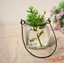 水培紫竹如何选择合适的容器？容器大小对紫竹生长有何影响
