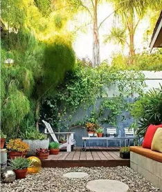 耐旱耐寒草种， 拯救我的小院