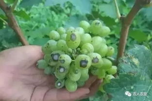 混用有风险， 别图方便