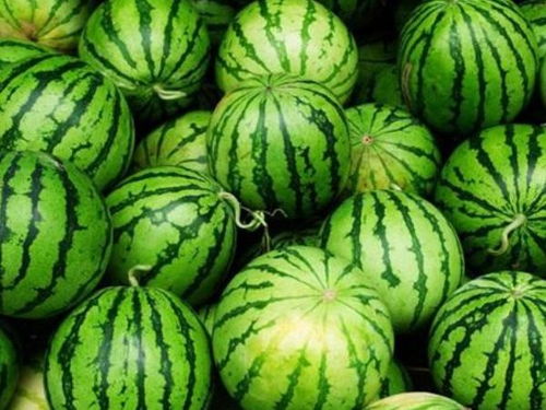 西瓜富含多种维生素，夏天吃瓜