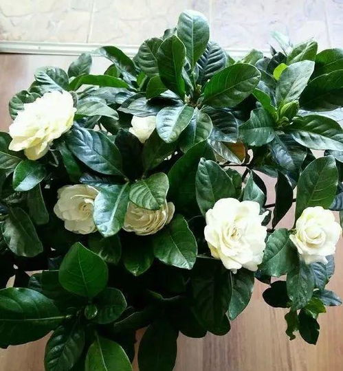 第一步：先来个“大扫除”