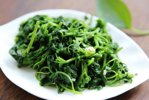 灰灰菜：田间地头，美味佳肴