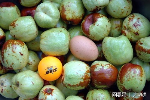 泗洪大枣：江苏省泗洪县培育的新品种