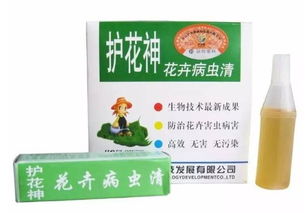 金雀花防虫技巧：定期喷洒杀虫剂