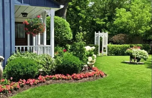 庭院栽培的乐趣：从橡树幼苗到参天大树