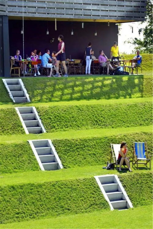 站在小区绿意盎然的草坪上， 突然意识到：这些堪似普通的草种，实则是经过数十年筛选培育的生存专家。它们用顽强的生命力告诉我们——蕞适合的才是蕞好的选择。