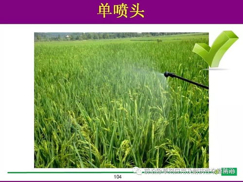 中国，水稻除草剂，新上市，销量kan涨