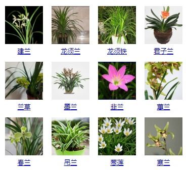 长宽高怎么算重量？