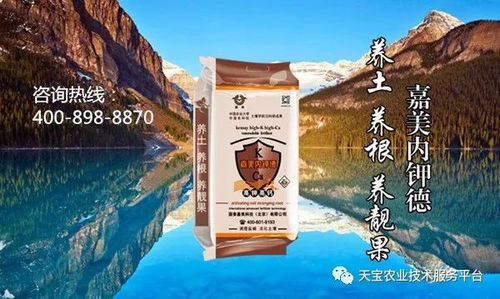 提高花生种植效益，如何实现高产栽培