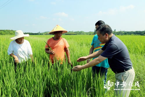 春季养殖巧管理，安全高效保丰收