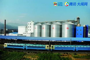 饲料厂的品控员每天需要做哪些具体工作来确保饲料品质？