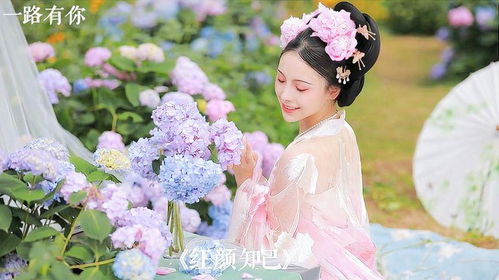 玫瑰：红颜知己
