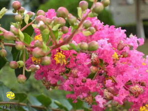 自我保护， 自然界的智慧