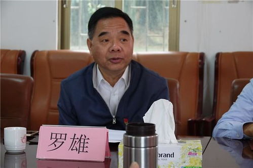 陶蕾：艾草种植的领航者