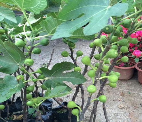 如何避免误区实现产量翻倍？