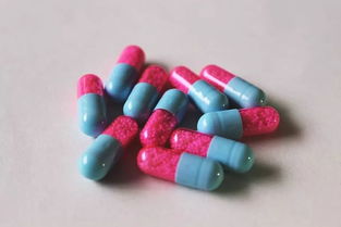 1. 药物刺激肠道黏膜