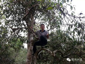 远离污染， 天然生长