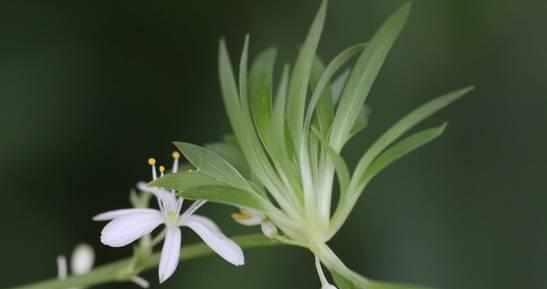 第二步：准备好工具