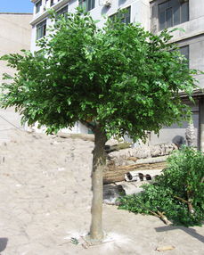 运输成本要考虑