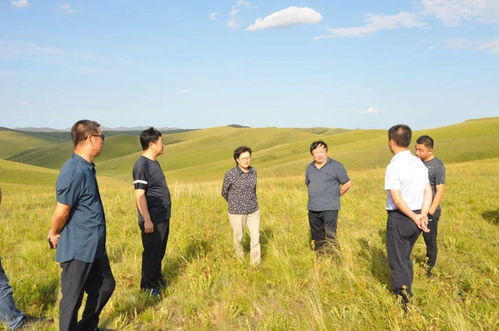 保护生态环境、 守护绿色家园