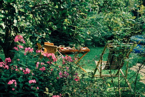 一、 家庭小院里的绿意盎然：选草小窍门大公开