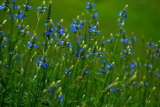 选择正确，告别空盆