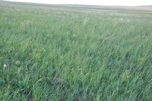 夜晚的“存钱”技巧