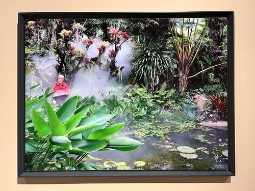 植物素材的独特语言：插花中的角色扮演