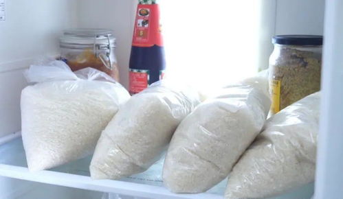 米虫潮湿环境下用什么杀虫剂和驱虫方法最有效？