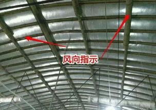 夏季高温多湿，鸡舍通风不良易引发疾病